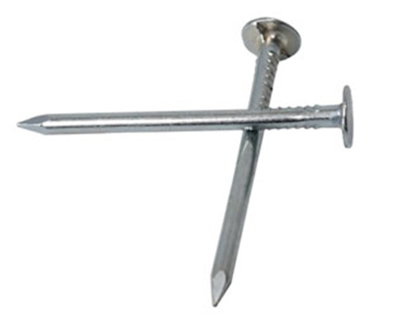Umbrella Head Roofing Nails