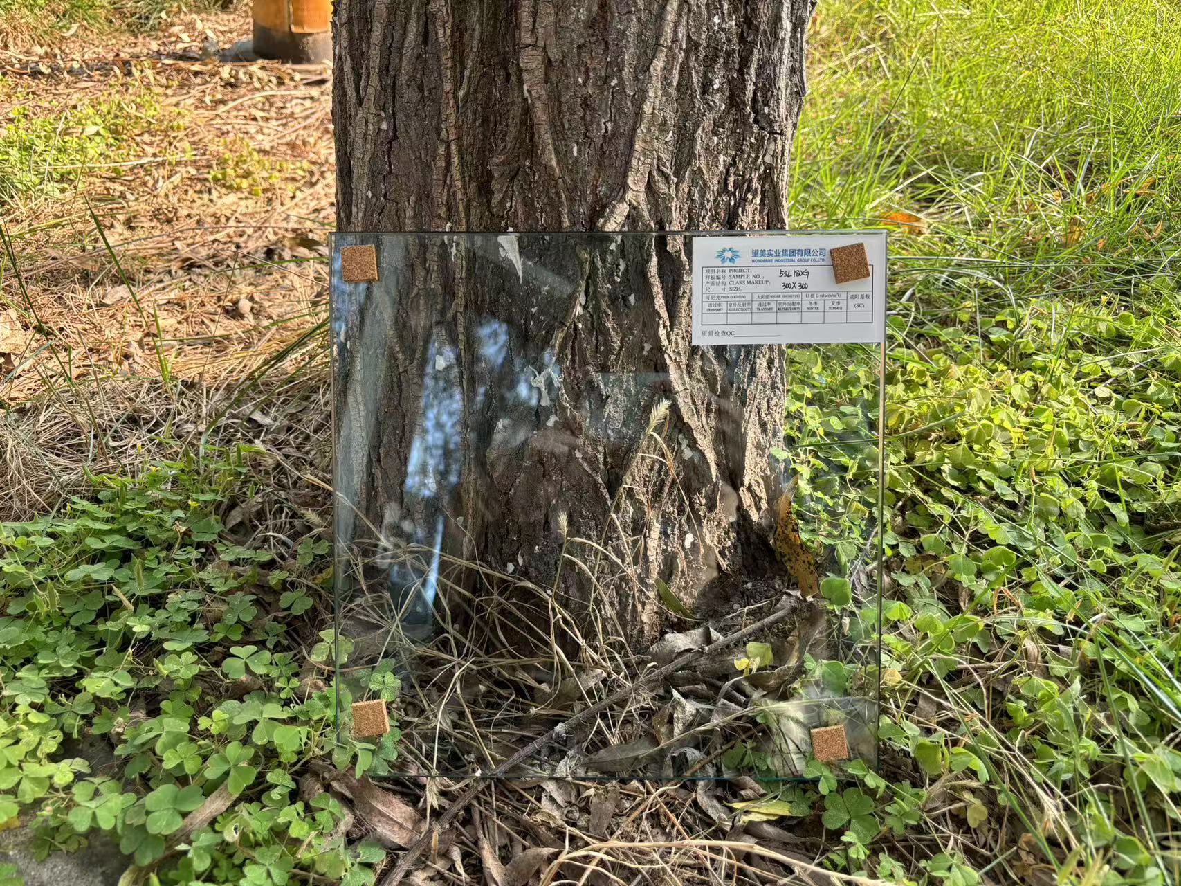 Solar Control Low-E Glass: Energy Efficient & UV Protection