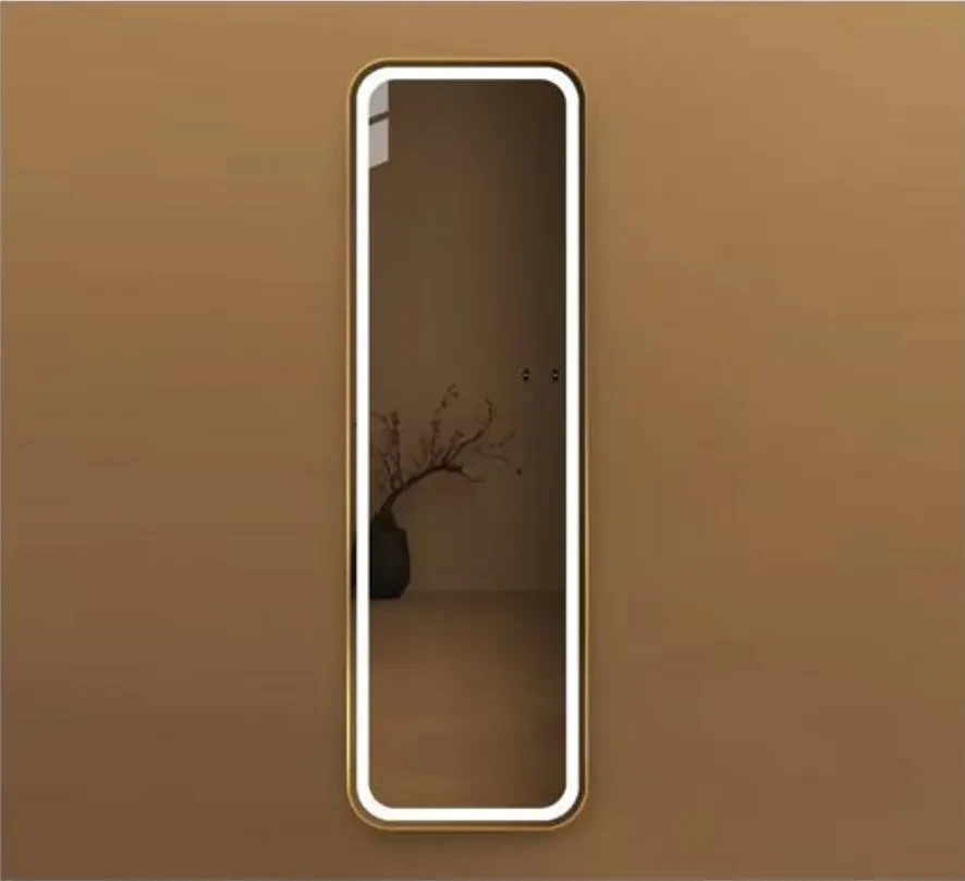 Full Length Mirror for Back of Door