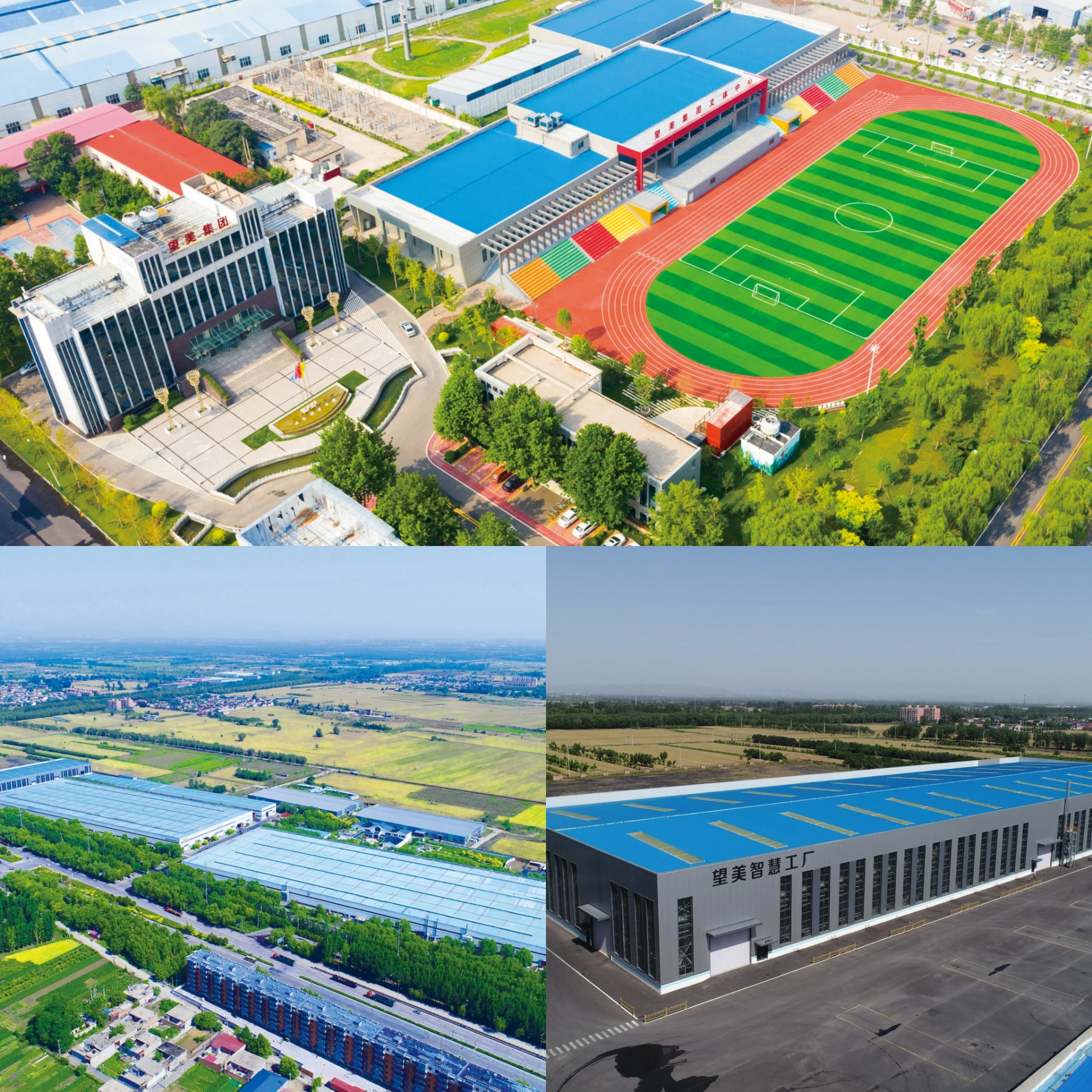 float glass manufacturers