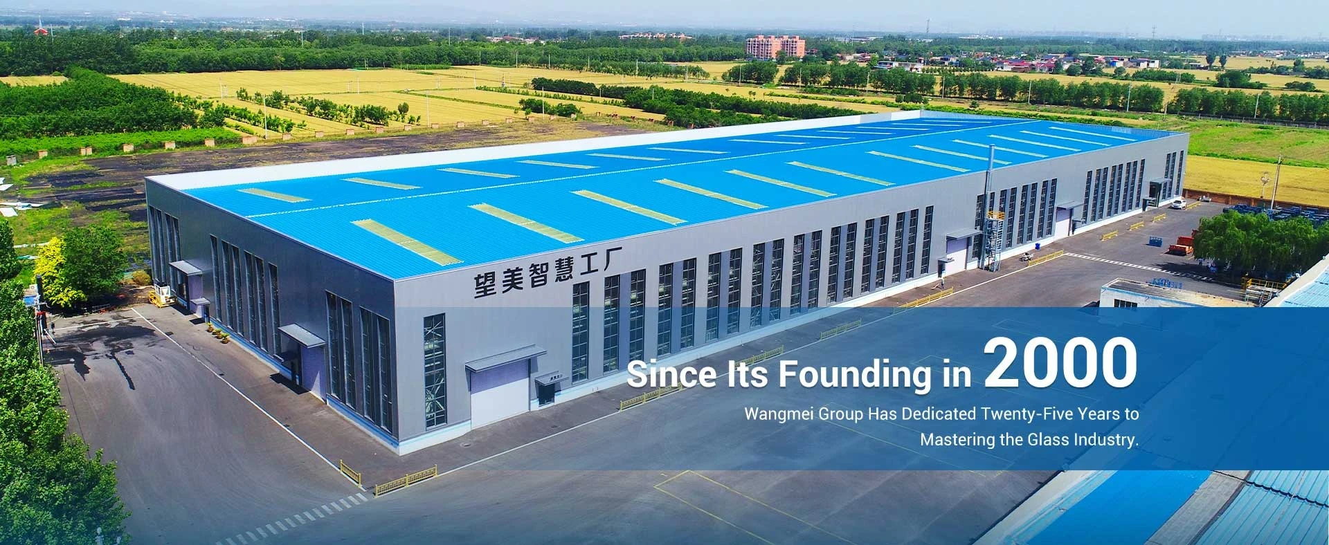 float glass manufacturers