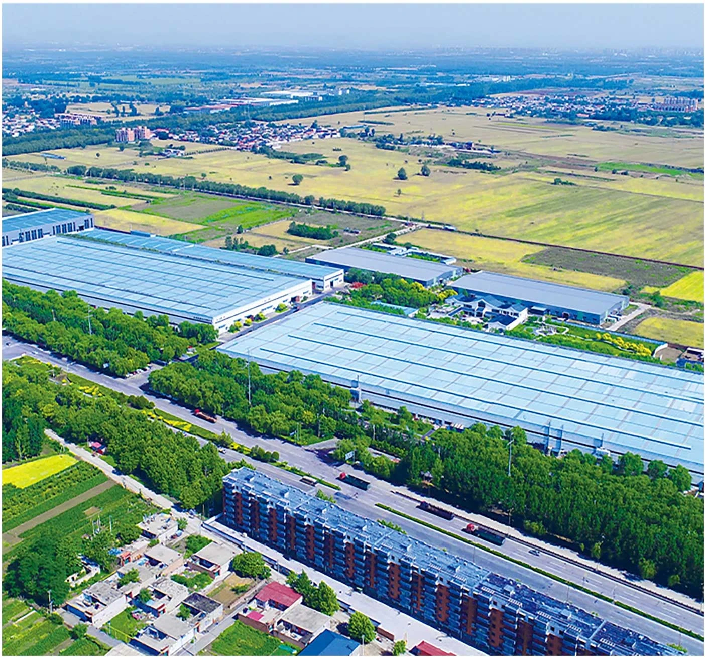 float glass manufacturers