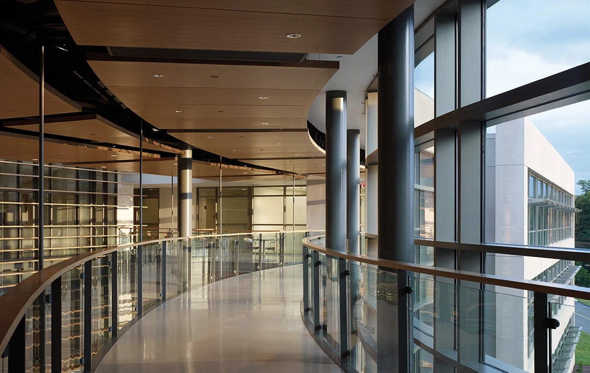 Modern Architecture & Decoration