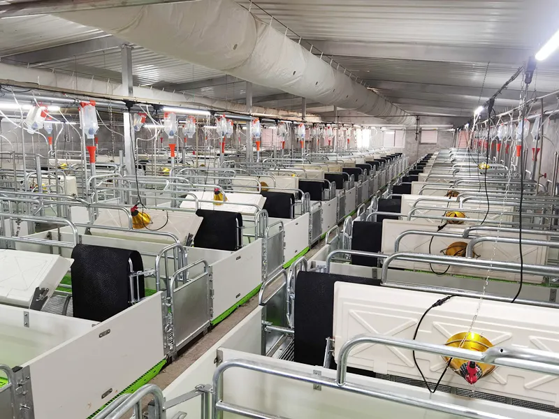 CX Livestock: China’s Leading Manufacturer of Livestock and Construction Equipment Expands Global Reach