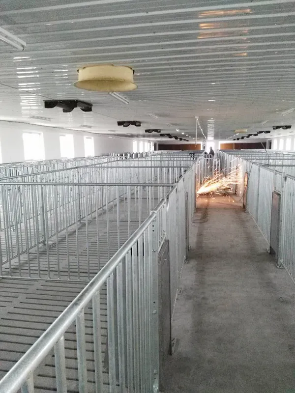 CX Livestock: China’s Leading Manufacturer of Livestock and Construction Equipment Expands Global Reach