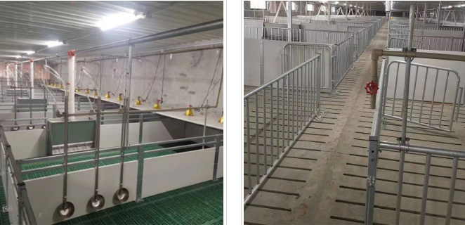 Optimal Farrowing Solutions for Modern Pig Farming