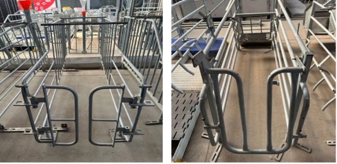 Ideal Farrowing & Gestation: Swine Farm Efficiency