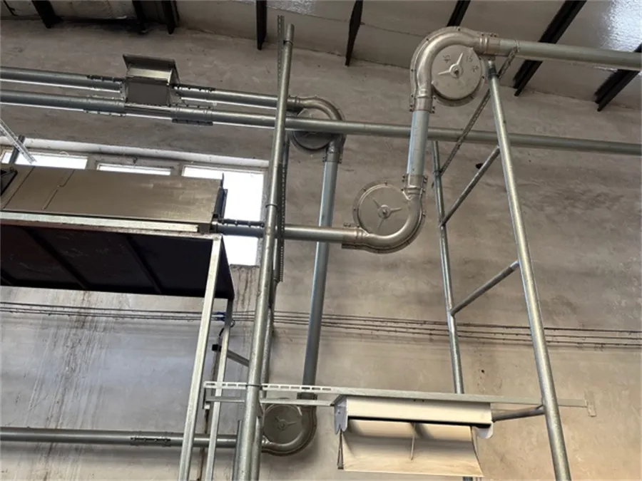 automatic feeding system for pigs