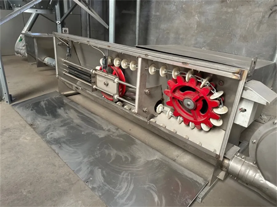 feeding system for pigs