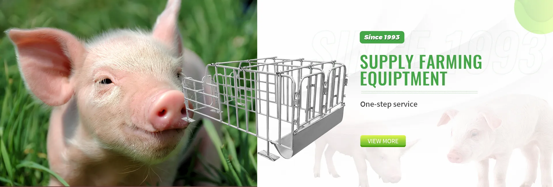 equipment for poultry production