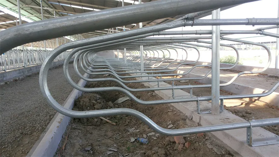 Cattle Lying Bed for Cattle Farming Equipment03