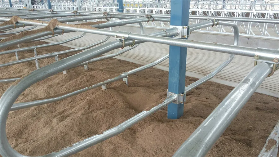 Cattle Lying Bed for Cattle Farming Equipment04