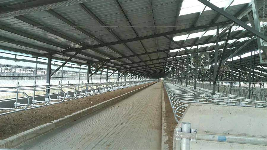 Cattle Lying Bed for Cattle Farming Equipment05