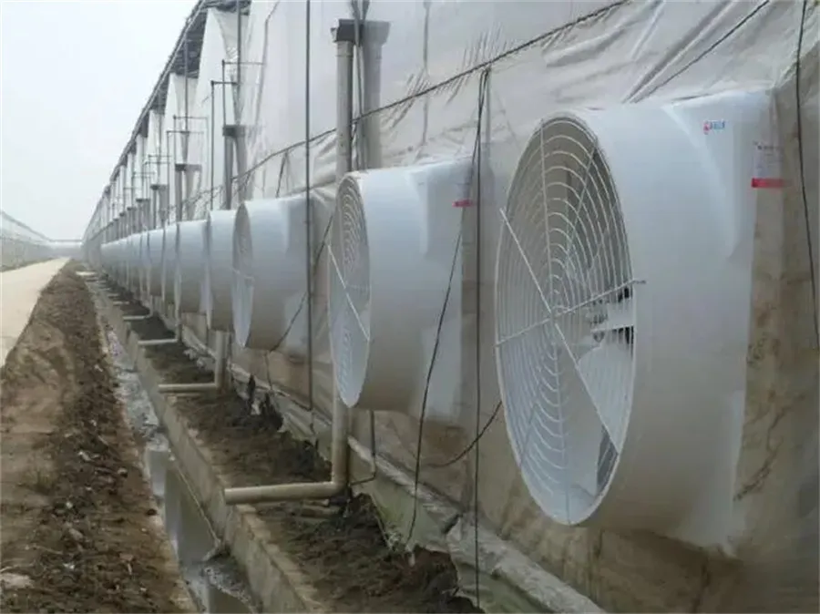 Cooler and Heater in Pig Farming Equipment03
