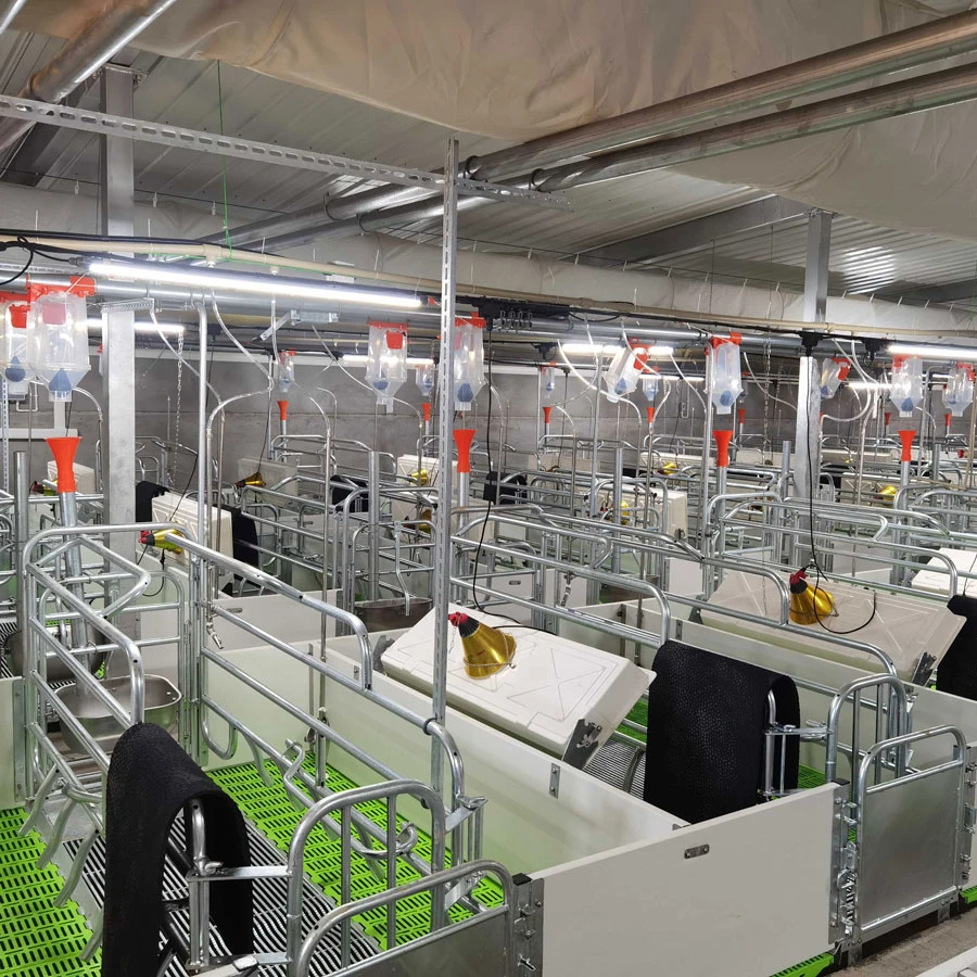 Crate And Floor Consumables In Pig Farming Equipment