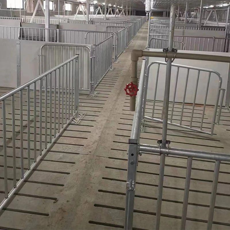 Fatten Finishing Penning In Pig Farming Equipment