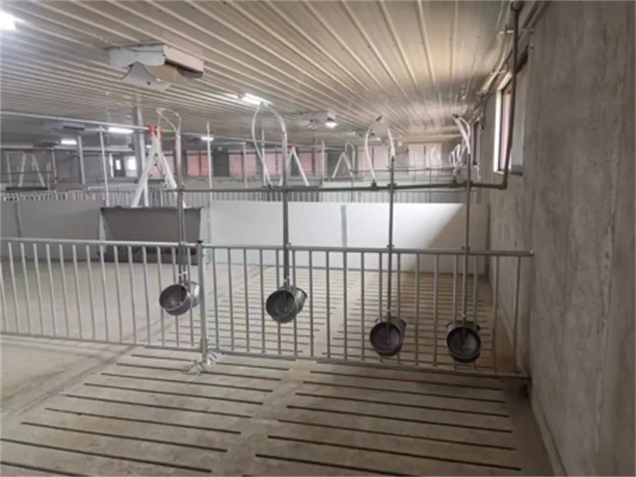 Fatten Finishing Penning in pig farming equipment01