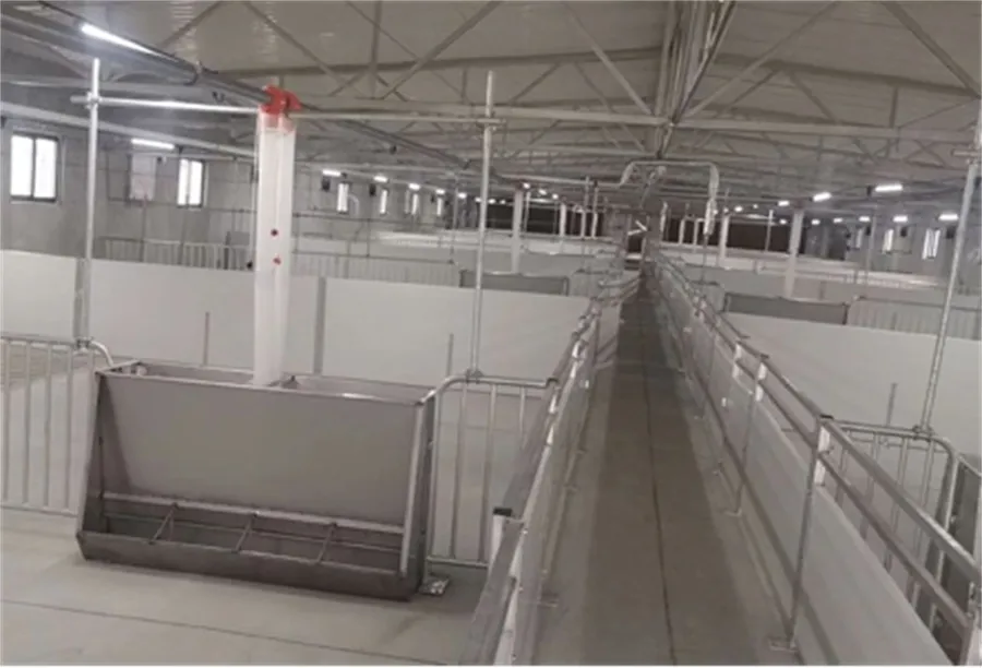 Fatten Finishing Penning in pig farming equipment02