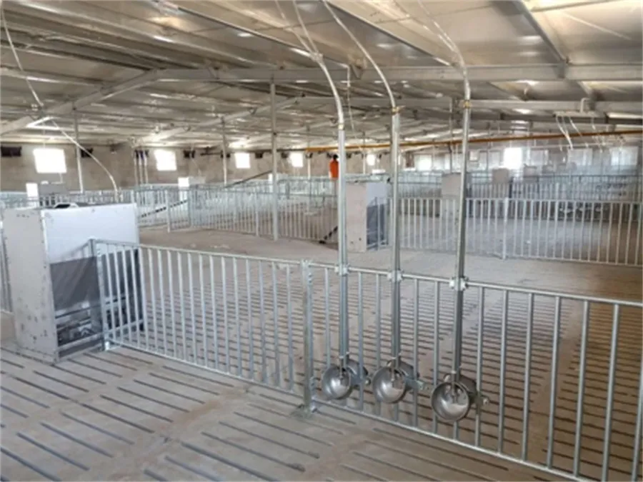 Fatten Finishing Penning in pig farming equipment03