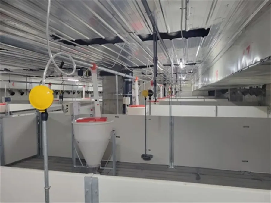 Fatten Finishing Penning in pig farming equipment04