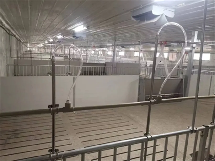 Fatten Finishing Penning in pig farming equipment05