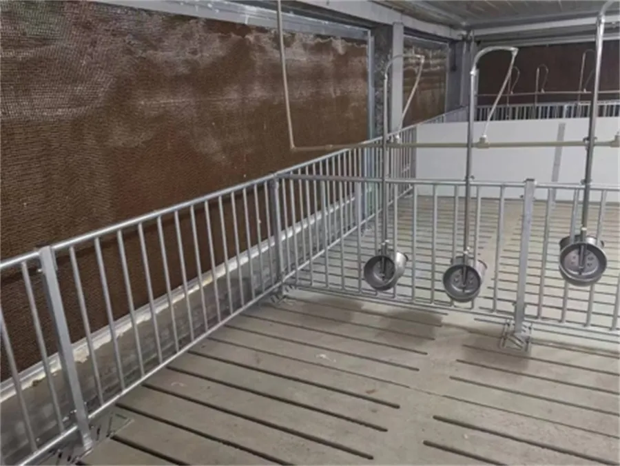 Fatten Finishing Penning in pig farming equipment06