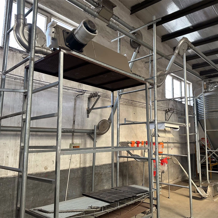 Feeding System Consumables In Pig Farming Equipment