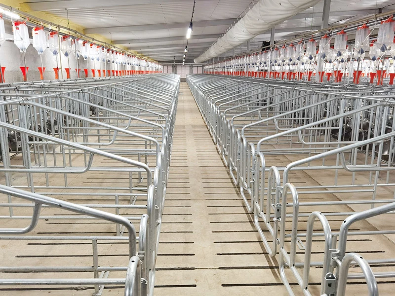 CX Livestock: China’s Leading Manufacturer of Livestock and Construction Equipment Expands Global Reach