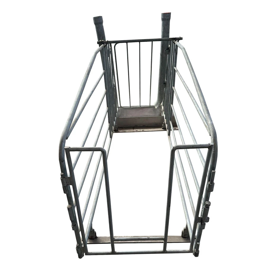 Gestation Crates With Steel Pipe Or Solid Bar Frame
