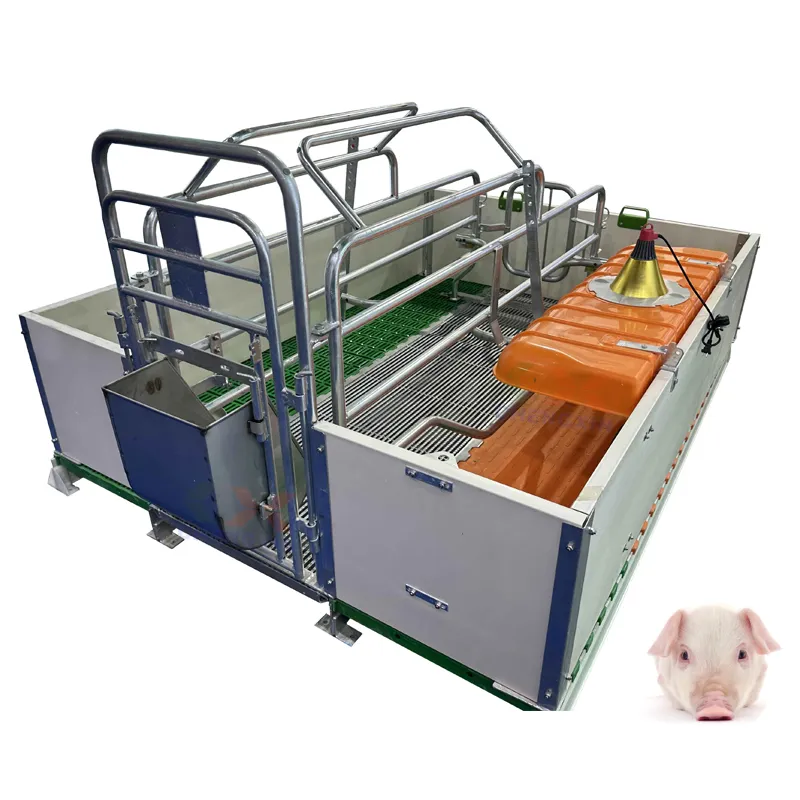 Huanghua Chengxin Pig Farming Equipment Are Revolutionizing The Industry