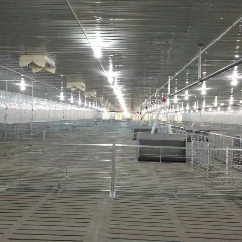 Other Pen, Crate And Stall In Pig Farming Equipment