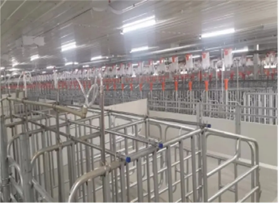 Other Pen_Crate_Stall01