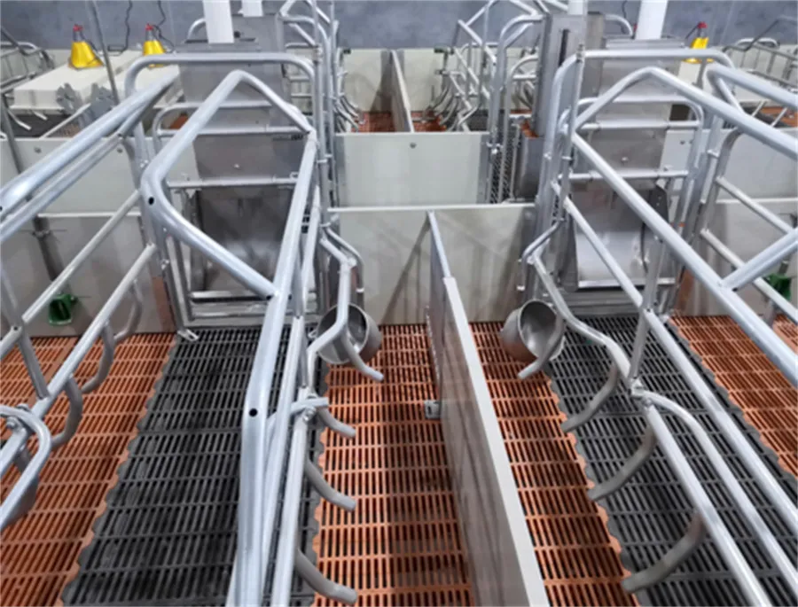 farrowing crates for pigs for sale