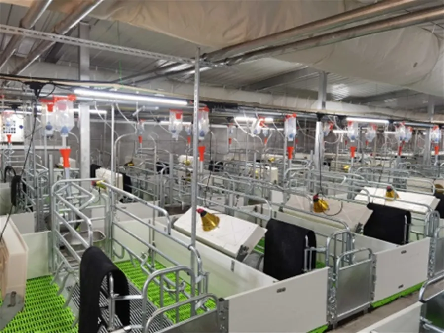 sow farrowing crates for sale