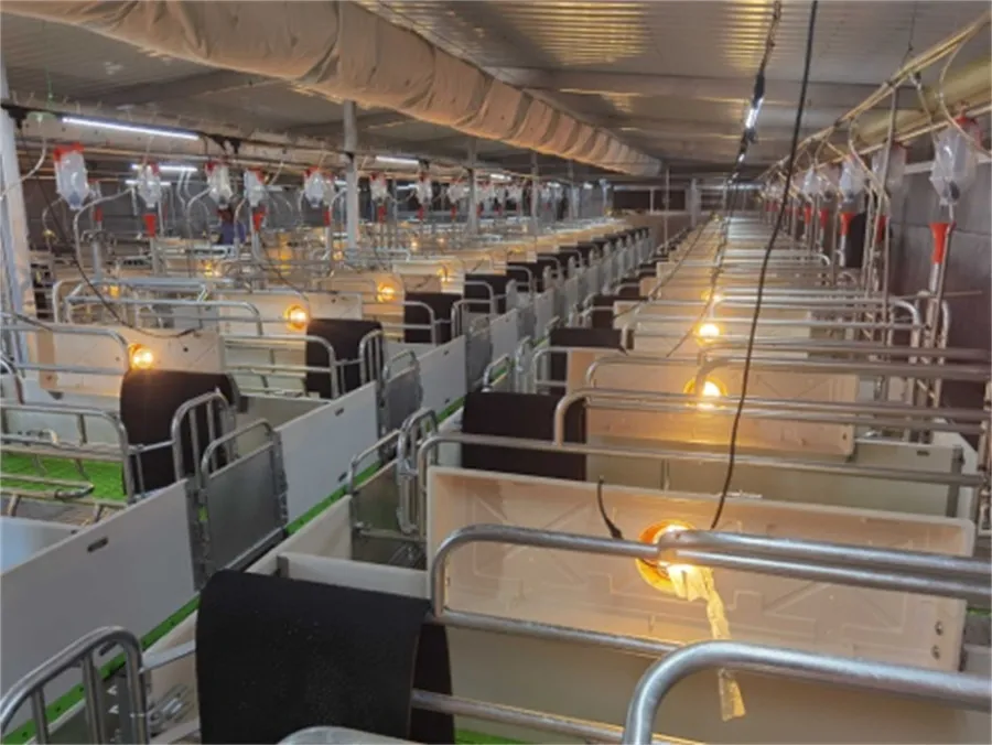 swine farrowing crates for sale