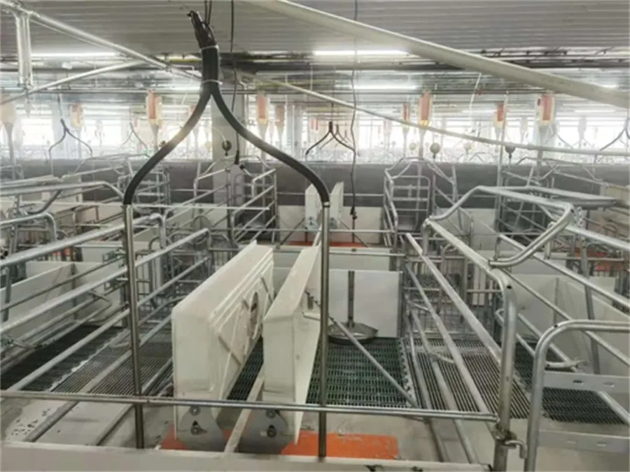 farrowing crates for pigs for sale