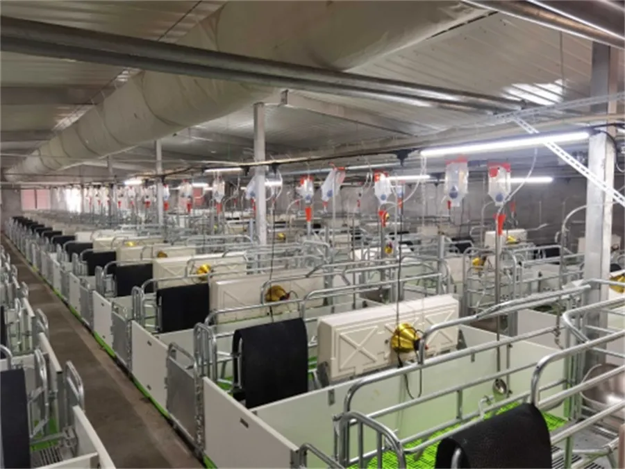 sow farrowing crates for sale