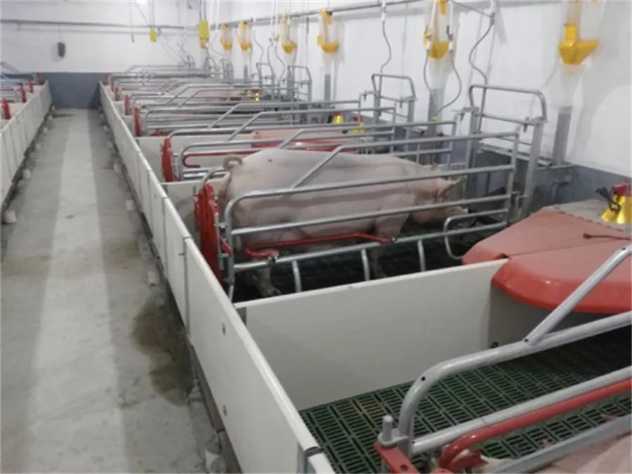 swine farrowing crates for sale