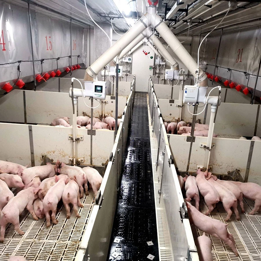 Cooler And Heater In Pig Farming Equipment