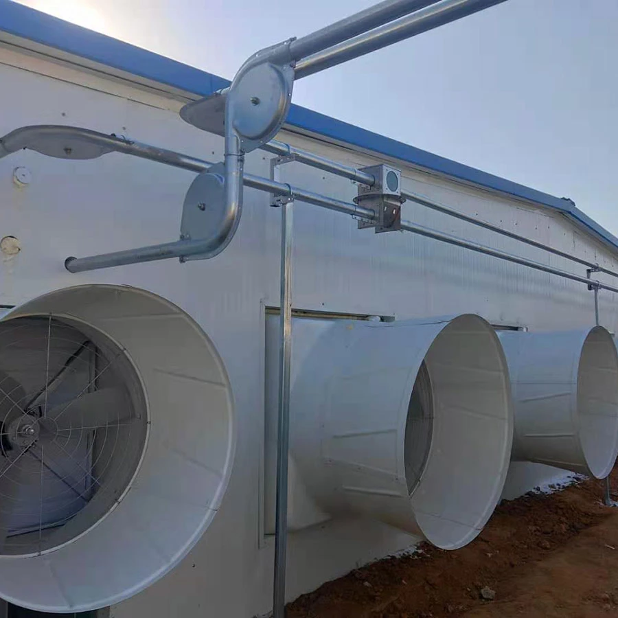 Ventilation And Fan In Pig Farming Equipment