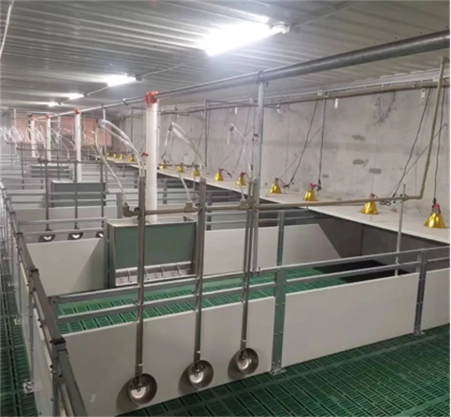 Weaner Nursery Stall in pig farming equipment02