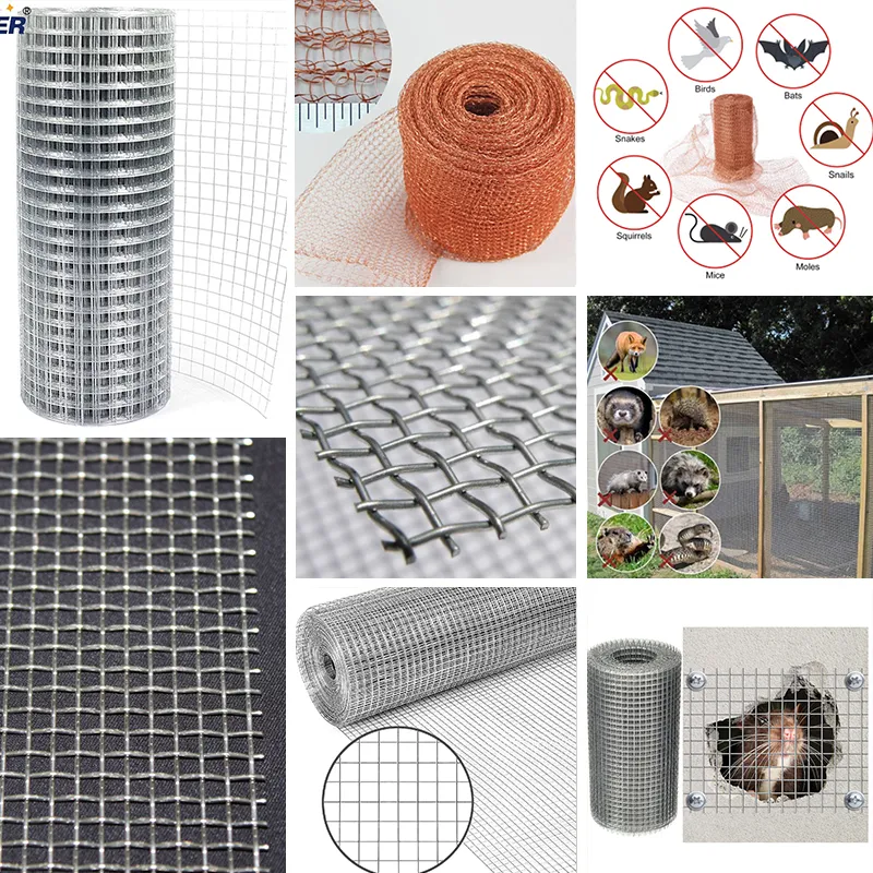 Anti-Rat Mesh Successfully Applied in Food Processing Plant for Long-Term Pest Protection Anti-Rat Mesh Successfully Applied in Food Processing Plant for Long-Term Pest Protection