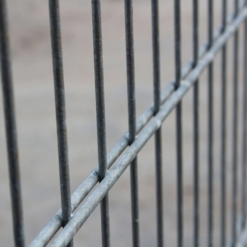 Double Wire Fence