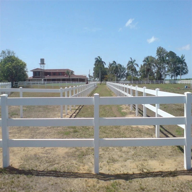 Affordable and Elegant Fencing Solutions for Your Horses