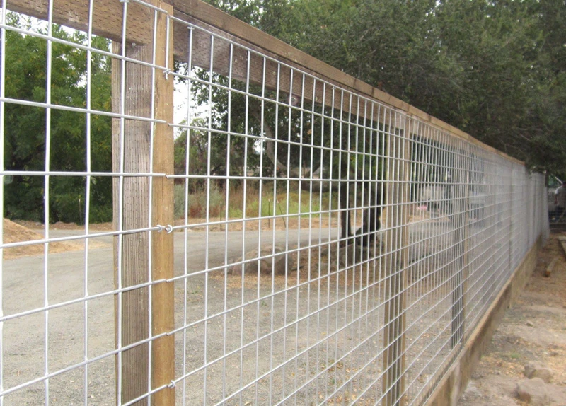 Bangjun: Superior Quality Galvanized Welded Wire Mesh for Every Application