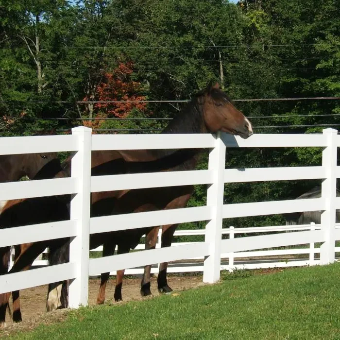 Discover Bangjun’s Reliable PVC Horse Fence: Safety and Durability for Your Pastures