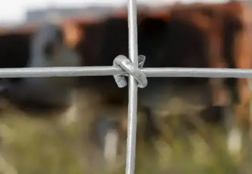 Characteristics and Usage Precautions of Barbed Wire