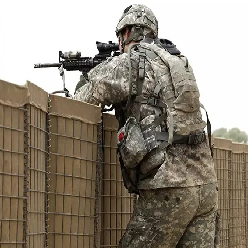 Read More About hesco wall