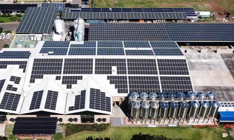 Acorn Stairlift Charging Station Features and Benefits for Convenient Home Mobility Solutions