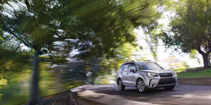 Champion Oil Filter Suppliers and Their Global Impact on Automotive Industry Champion Oil Filter Suppliers and Their Global Impact on Automotive Industry